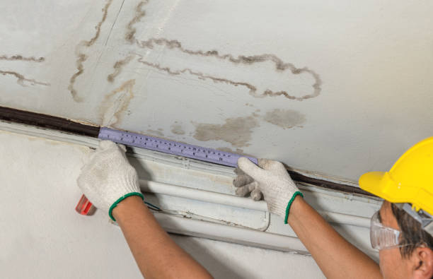 Reliable Flood Cleanup contractor in Larkspur, CO by Water Damage Irwin